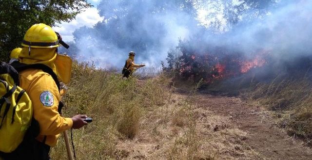 Combatientes Forestales De Bc Controlan Incendios En Chile 0526