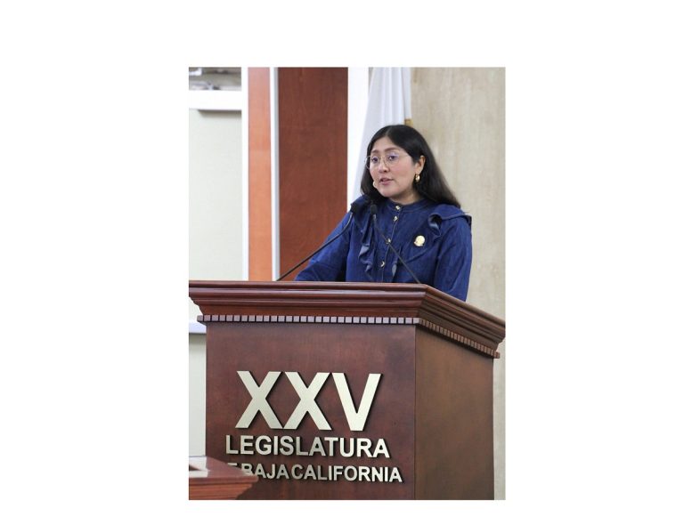 Diputada Sánchez Allende propone ampliar protección contra violencia digital con uso de IA