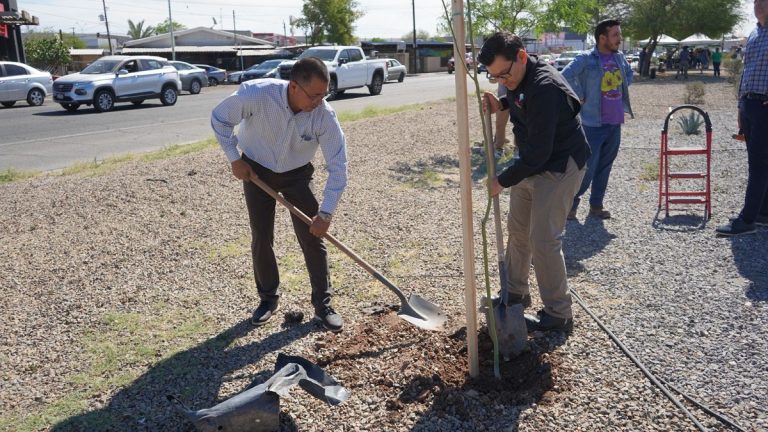 Participa CESPM en jornada de reforestación y rehabilita sistema de riego en calzada Independencia
