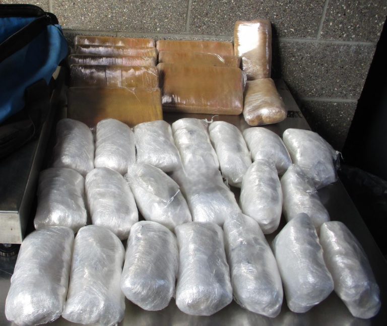 En un mes, CBP San Diego decomisa más de 14 millones de dólares en narcóticos