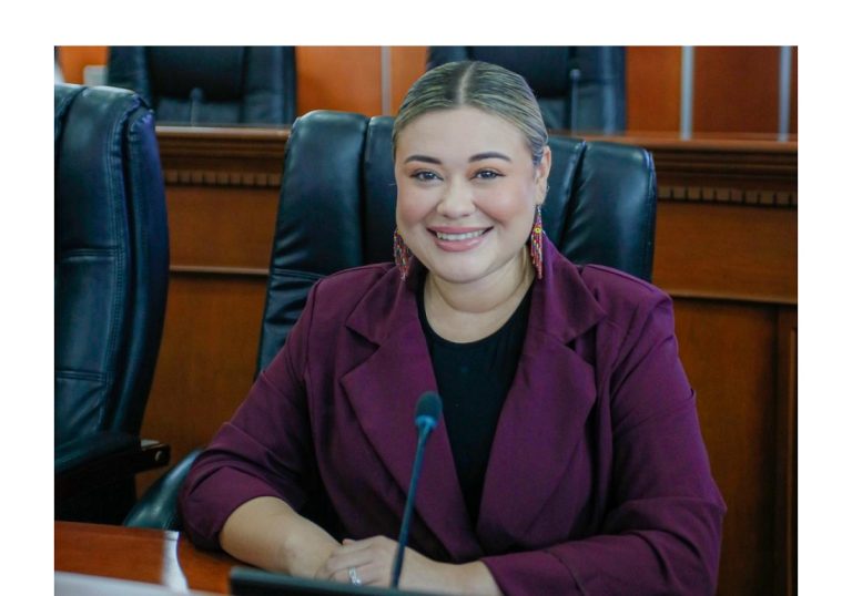 Dip. Michelle Tejeda exhorta al SAT para evitar abusos y proteger patrimonio de las familias