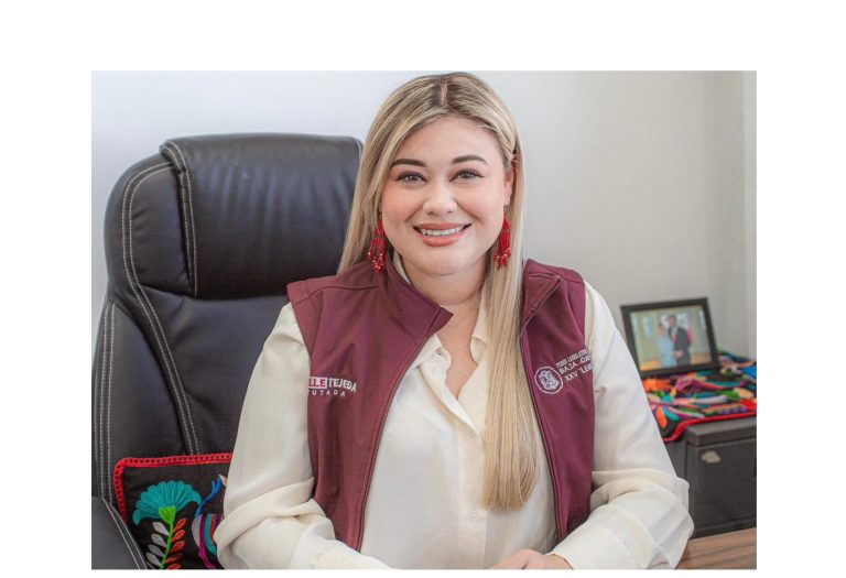 Iniciativa de diputada Michelle Tejeda obliga a partidos a capacitar en derechos de sectores vulnerables
