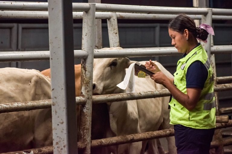 Refrenda Gobierno de México su compromiso binacional para erradicar el Gusano Barrenador del Ganado