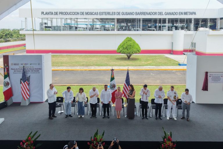 Presidenta Sheinbaum inaugura planta de producción de moscas estériles del gusano barrenador de ganado en Chiapas