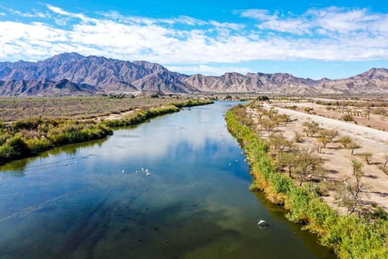Día Mundial del Medio Ambiente: CESPM llama a fortalecer cuidado del agua y protección de sistemas hídricos