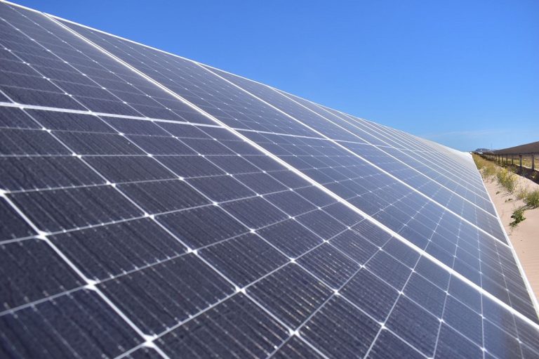 Avanza Baja California en energías renovables con proyectos seleccionados por CFE: gobernadora Ávila Olmeda