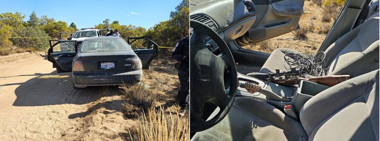 Enfrentamiento entre policías y delincuentes en Laguna Hanson deja un detenido herido