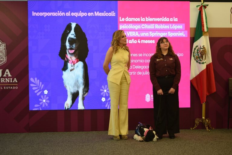 Prioriza gobierno de BC bienestar emocional de niñas, niños y adolescentes con terapias asistidas por binomios caninos