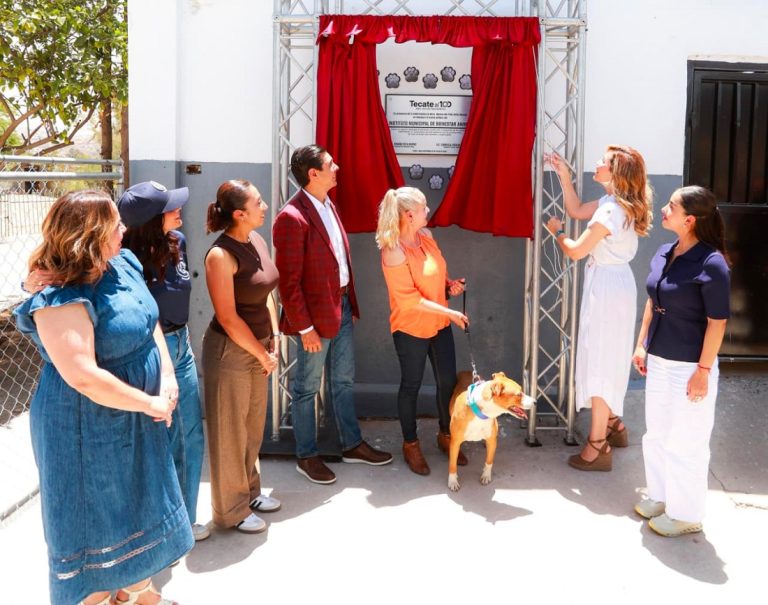 Suma Baja California nuevo hogar de bienestar para perros y gatos en Tecate