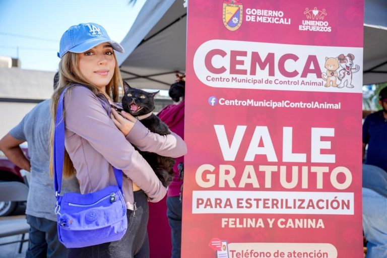 Lleva gobierno de Mexicali jornada «DIF a domicilio» a colonia González Ortega