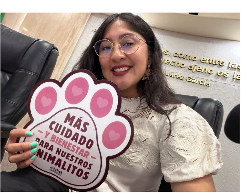 Exige Congreso a los Ayuntamientos rindan cuentas sobre operación de centros de control animal