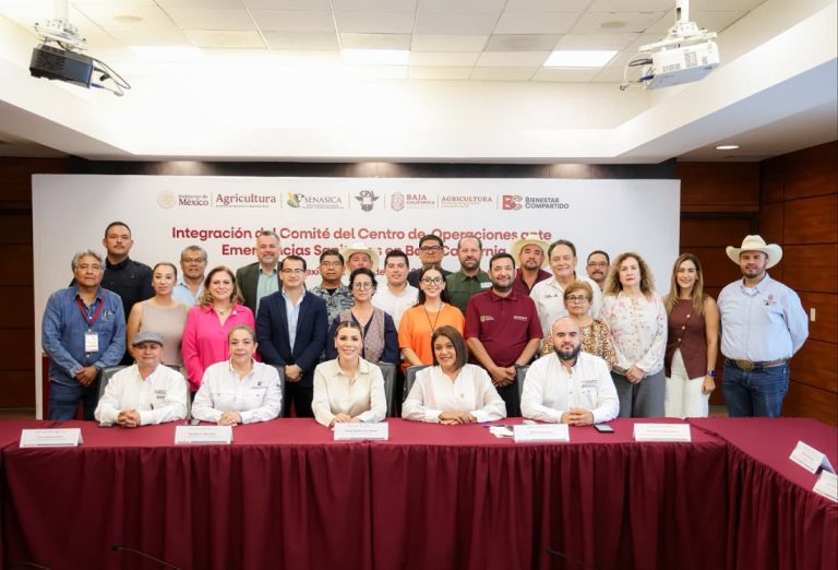 Activa gobierno de BC estrategia preventiva contra el gusano barrenador