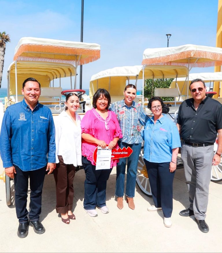 Entrega gobierno de BC calandrias eléctricas para impulsar turismo y bienestar animal en Rosarito