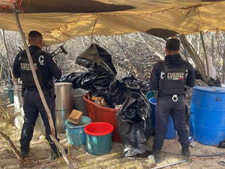 Debilitan estructuras financieras y operativas del crimen organizado en BC