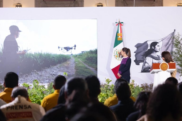 Presentan Jornada Nacional de Reforestación 2026; plantarán 6.6 millones de árboles y plantas