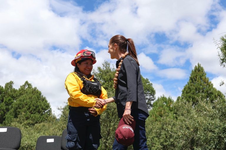 Encabeza presidenta Sheunbaum inicio de Jornada Nacional de Reforestación 2026