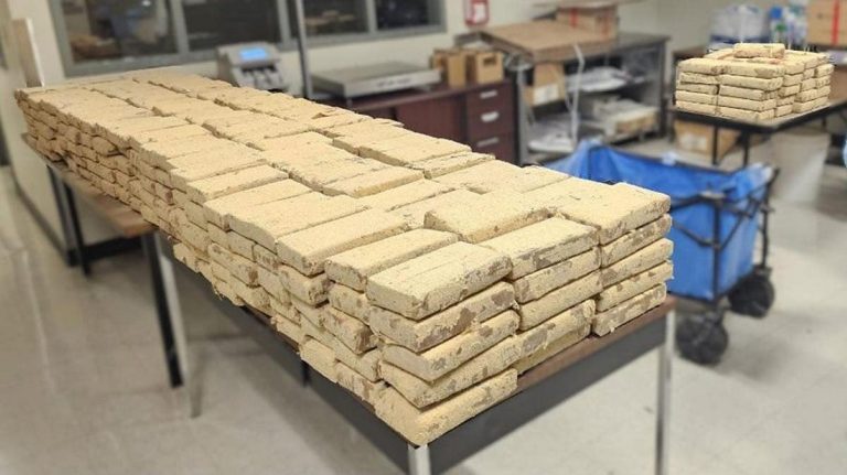Decomisó aduana de San Diego más de 67 millones de dólares en estupefacientes en julio