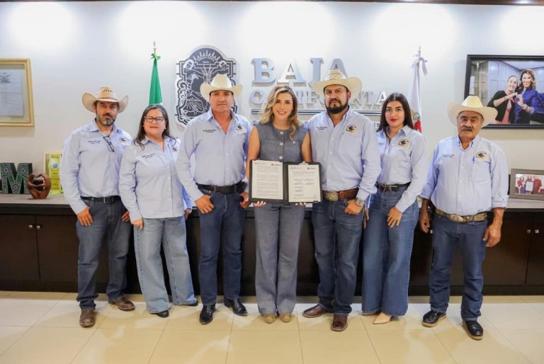 Acuerda Gobierno de BC apoyo a productores de trigo cristalino con mil 500 pesos por hectárea