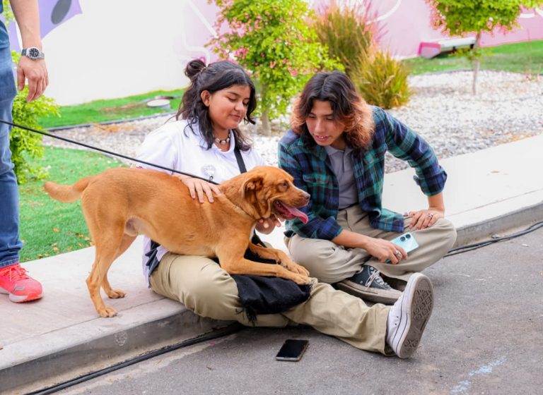 Gobierno de BC promueve adopción responsable para dar hogar a animales rescatados