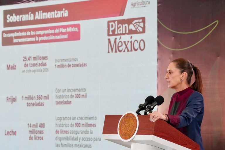 Programas para el Bienestar del Campo se entregan a 13 millones de productores en 2 mil 470 municipio del país