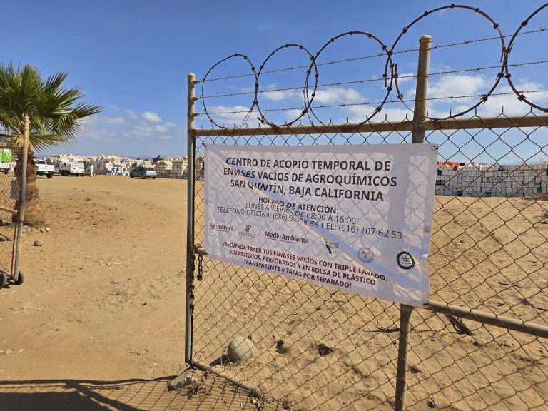 Recolectan 70 toneladas de envases vacíos de plaguicidas en Baja California
