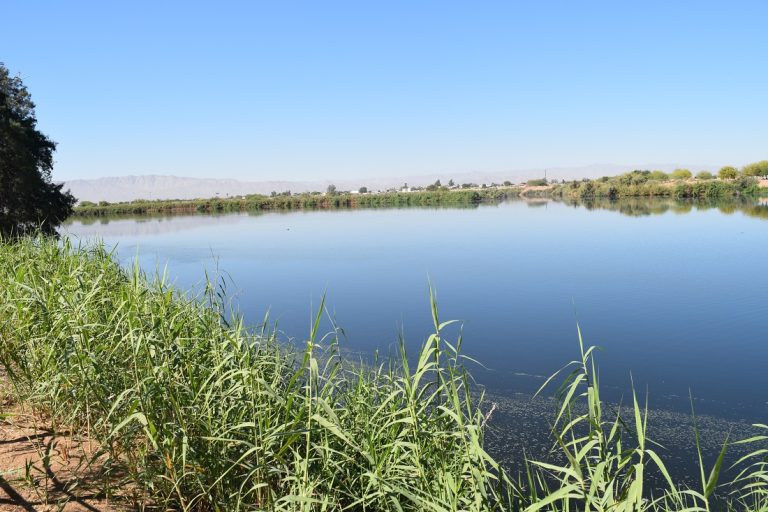 Sistema Lagunar de Mexicali cerca de declaración de Área Natural Protegida