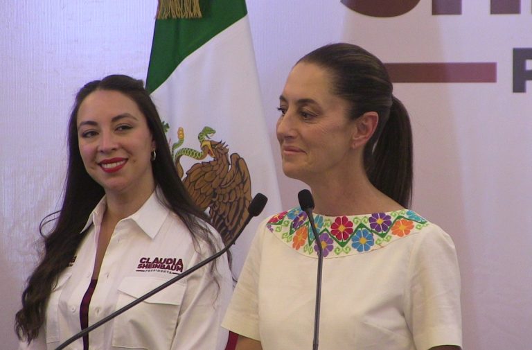 Operación Cicatriz y convencer a la izquierda: el reto de Julieta