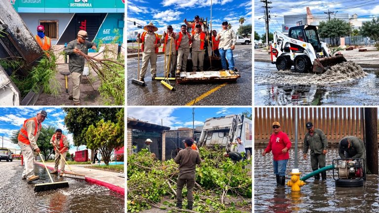 Gobierno de Mexicali atiende reportes por árboles caídos y realiza trabajos de desagüe tras las lluvias