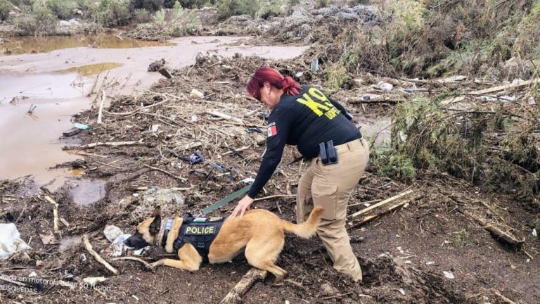 Localizan 4 cuerpos víctimas de tormenta tropical Rachel