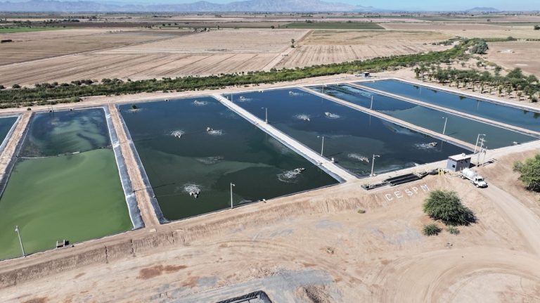 Refuerza CESPM mantenimiento preventivo en infraestructura de agua potable y saneamiento